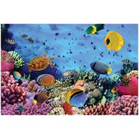 1000 Piece Jigsaw Puzzle Coral Reef #2