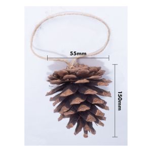 St Helens Hanging Plain Pine Cone Decoration. Pack of 6 #2
