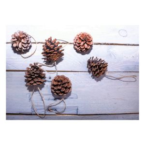 St Helens Hanging Plain Pine Cone Decoration. Pack of 6 #4