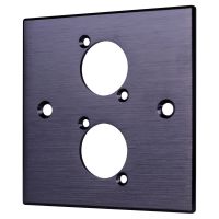 Brushed Aluminium Black Wall Plate with D Series Compatible 2 Hole