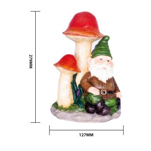 St Helens Solar Garden Ornament Gnomeo #4